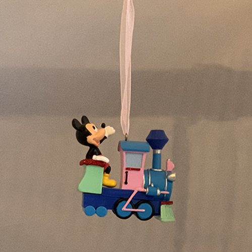 N-Mickey Train