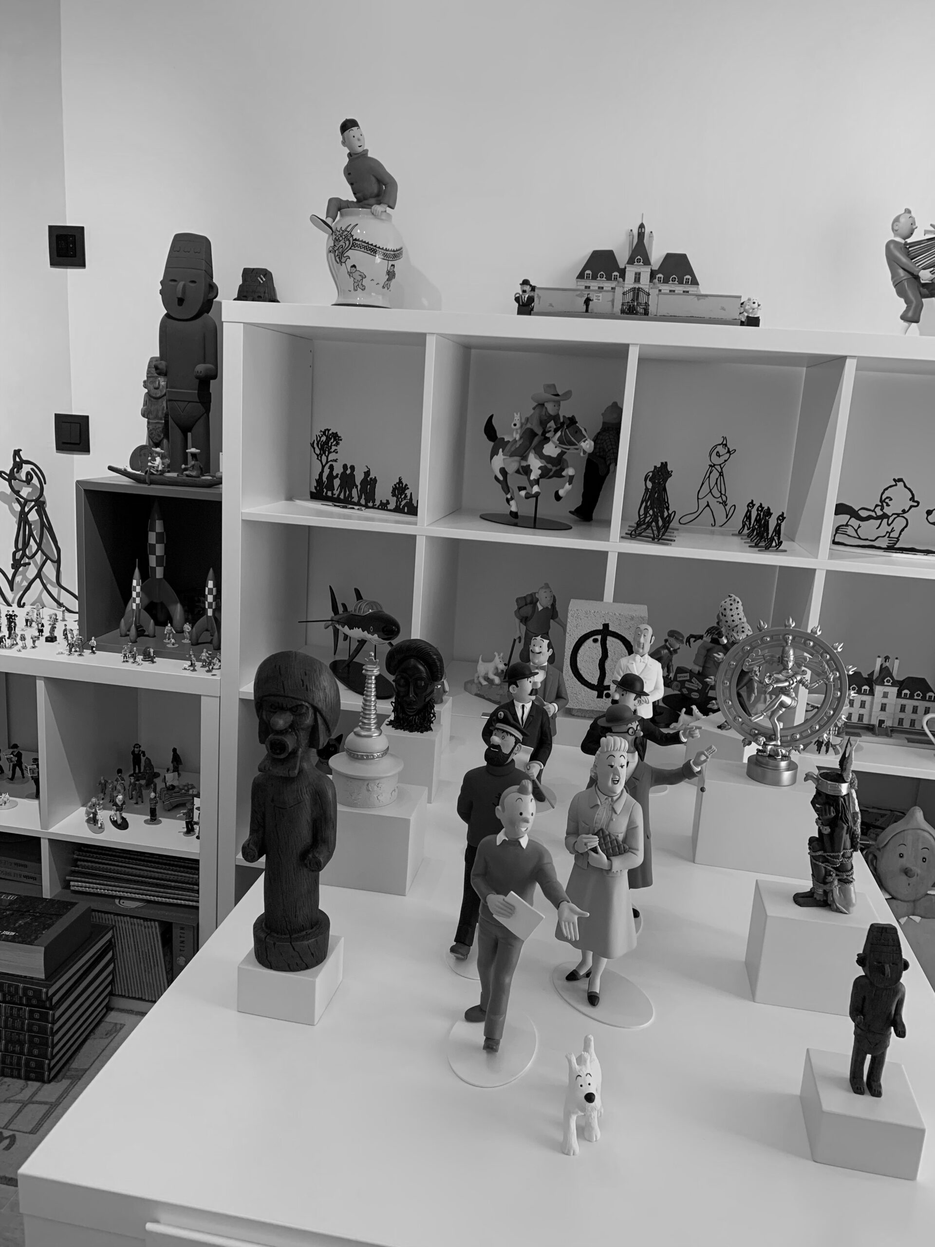 Collection-TINTIN